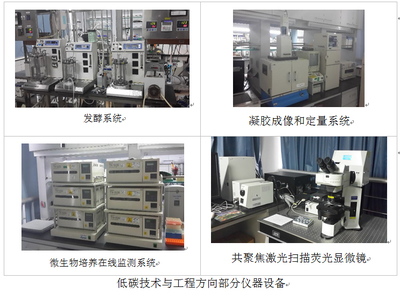 低碳技術與工程 技術服務與技術轉讓的雙輪驅動